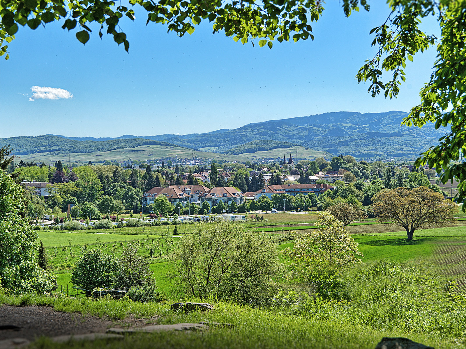 Markgräflerland – Blick über Weinberge und Rheinebene